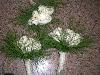 Bouquets 2010