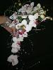Bouquets 2010