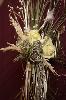 Bouquets 2010